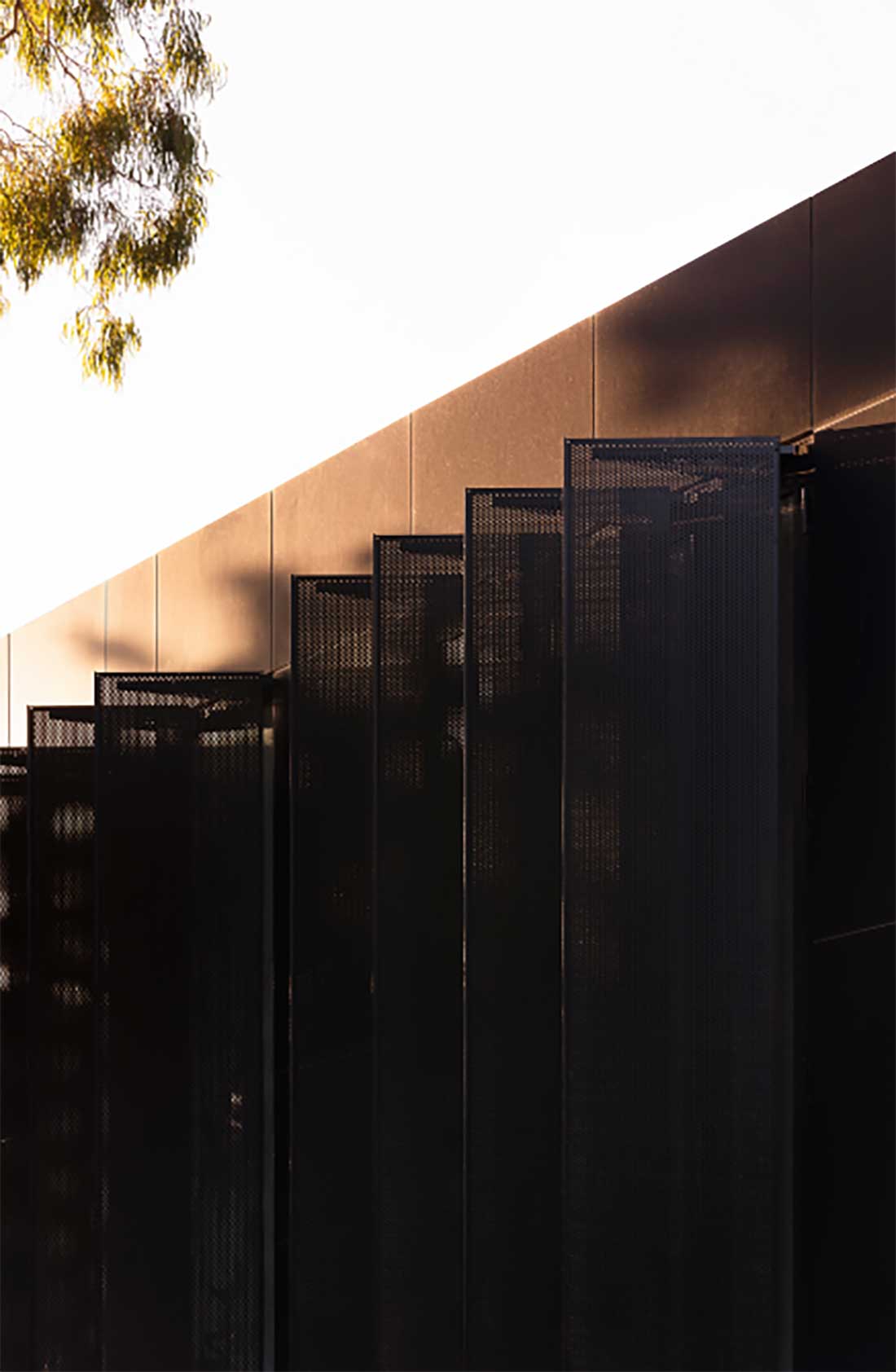 portfolio img 20